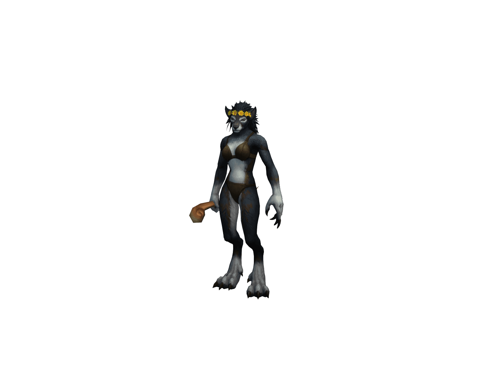 Fortunecooky's character render